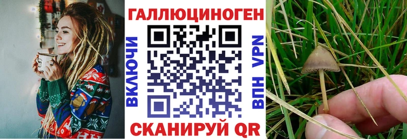 Галлюциногенные грибы Cubensis Вятские Поляны