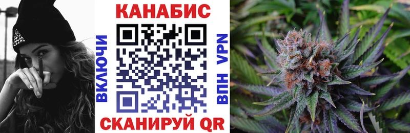 площадка официальный сайт Вятские Поляны Конопля тримм